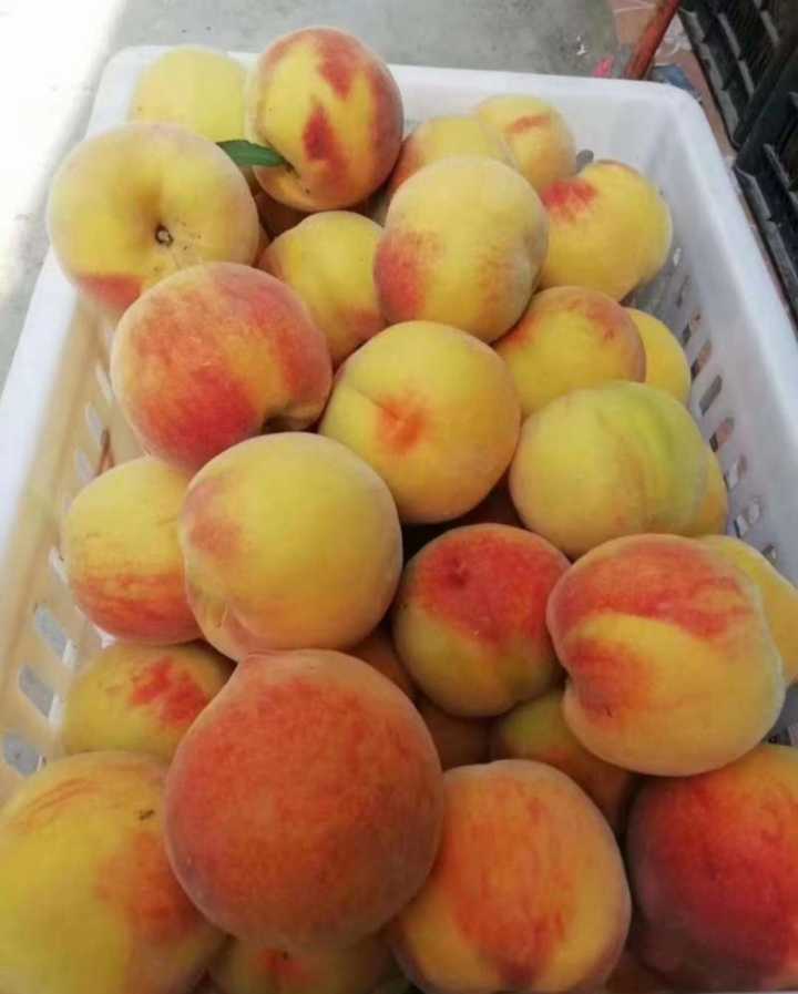 纯手工罐头，没有添加防腐剂，绝对没有乱七八糟的东西