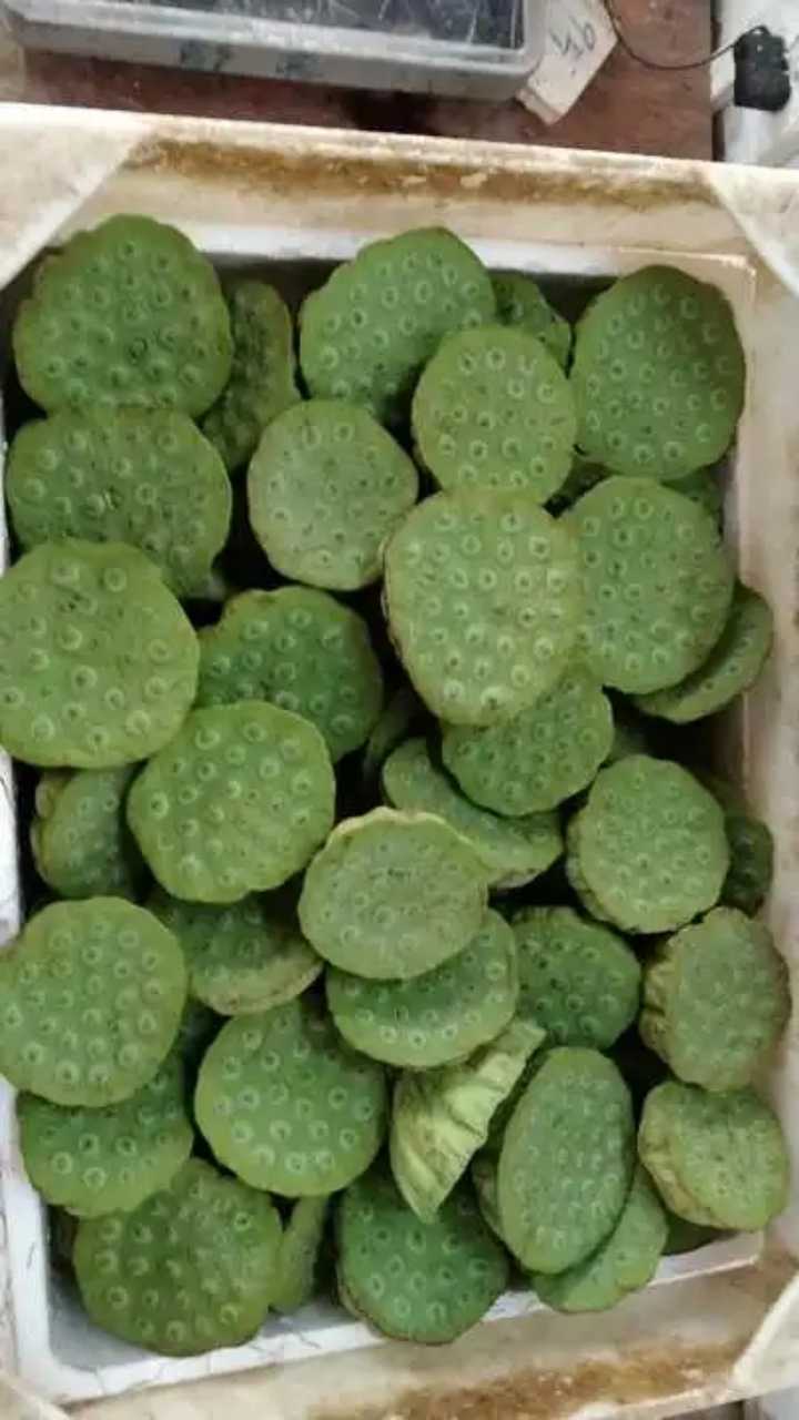 汉川莲蓬批发7.5/斤 莲米13 /斤 阳光玫瑰特惠 9/斤 夏黑6/斤 呦呦葡萄7.5/斤 同城三斤起送 外地顺丰速递