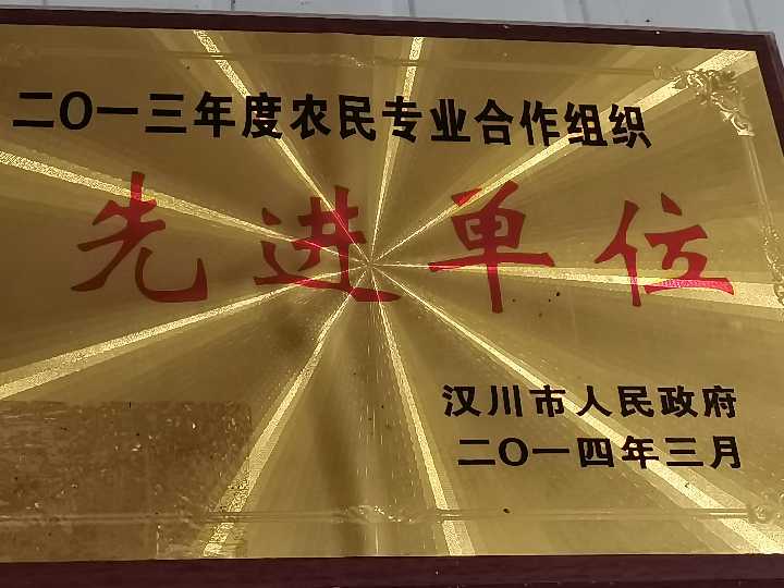 汉川市少华瓜菜配送中心