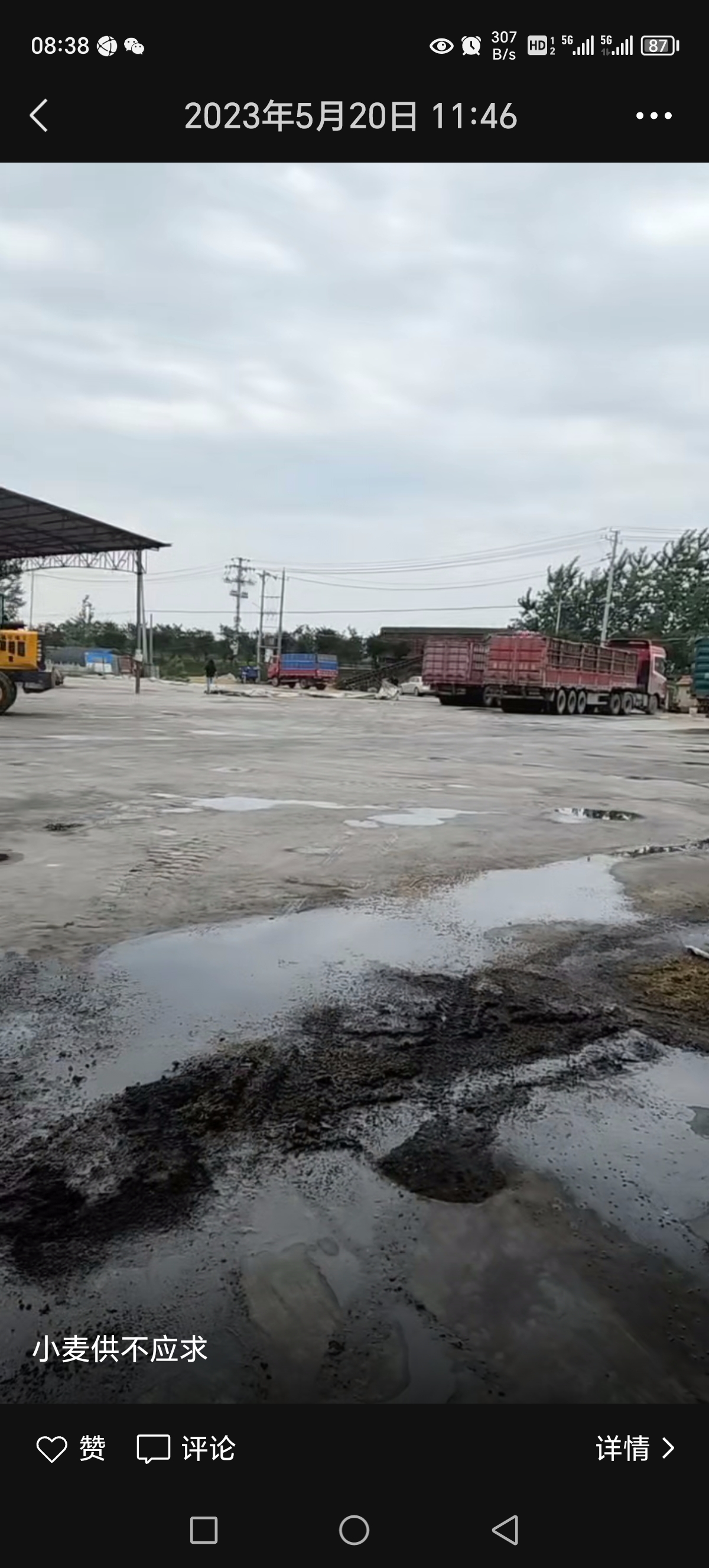 大量收购各品种 种植农作物，稻谷 大麦 小麦 黄豆 包谷等，价格公道。