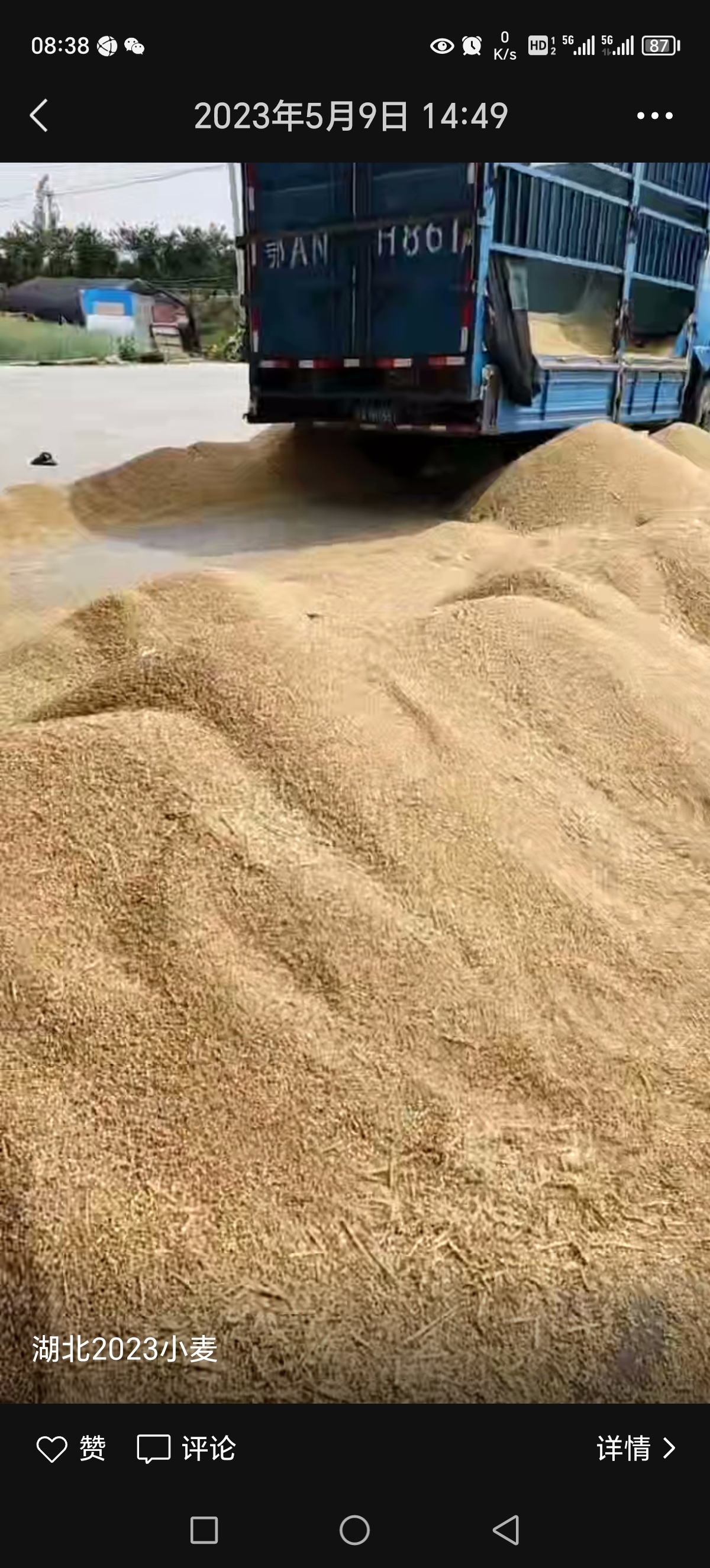 大量收购各品种 种植农作物，稻谷 大麦 小麦 黄豆 包谷等，价格公道。