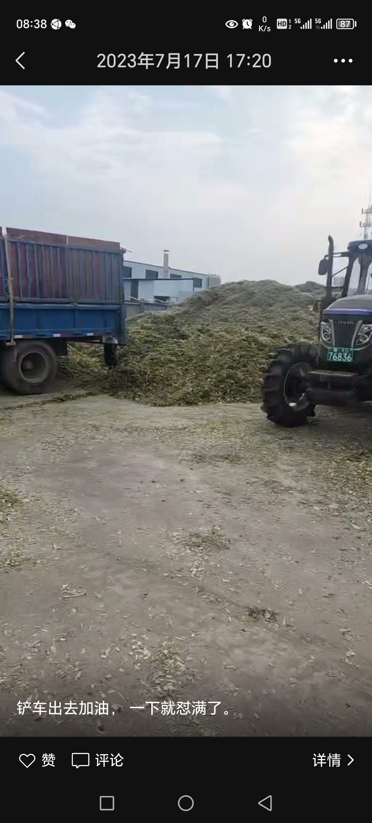 大量收购各品种 种植农作物，稻谷 大麦 小麦 黄豆 包谷等，价格公道。