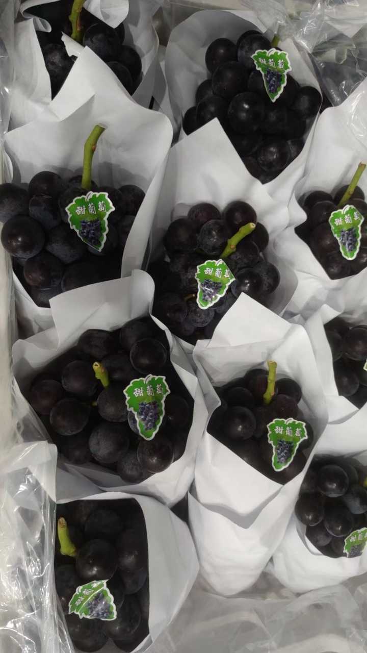 每日现摘 阳光玫瑰一级果 颗颗爆甜 夏黑葡萄 全部8元一斤