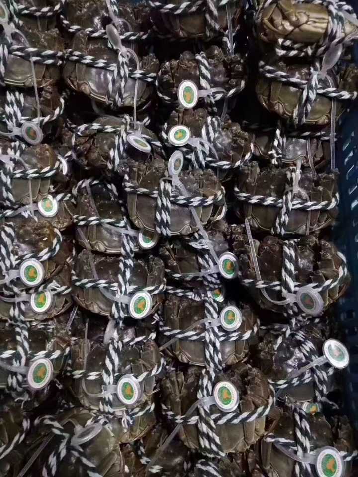 大闸蟹 .礼盒装，自己吃，送好友 都合适 一手批发价 半天到家