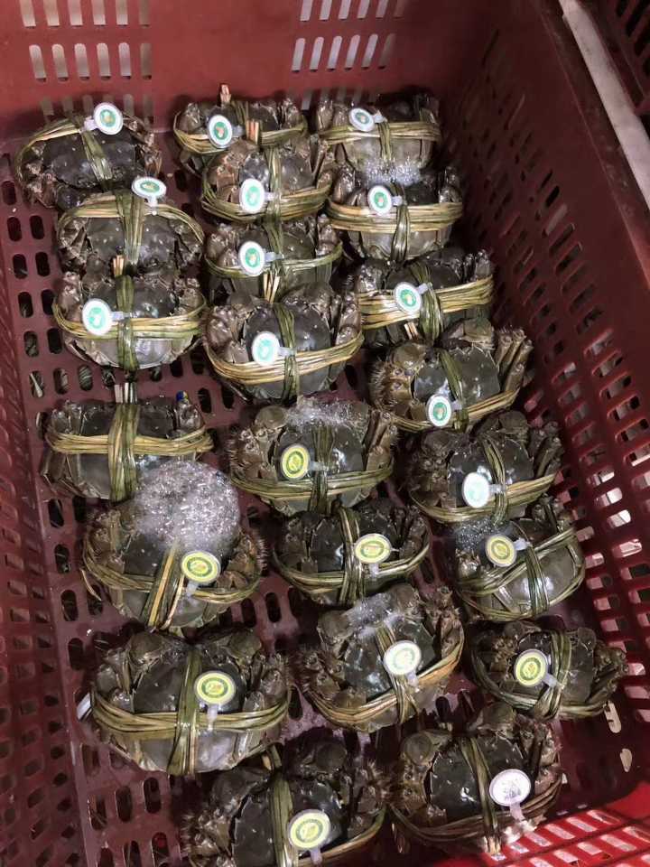 大闸蟹 .礼盒装，自己吃，送好友 都合适 一手批发价 半天到家