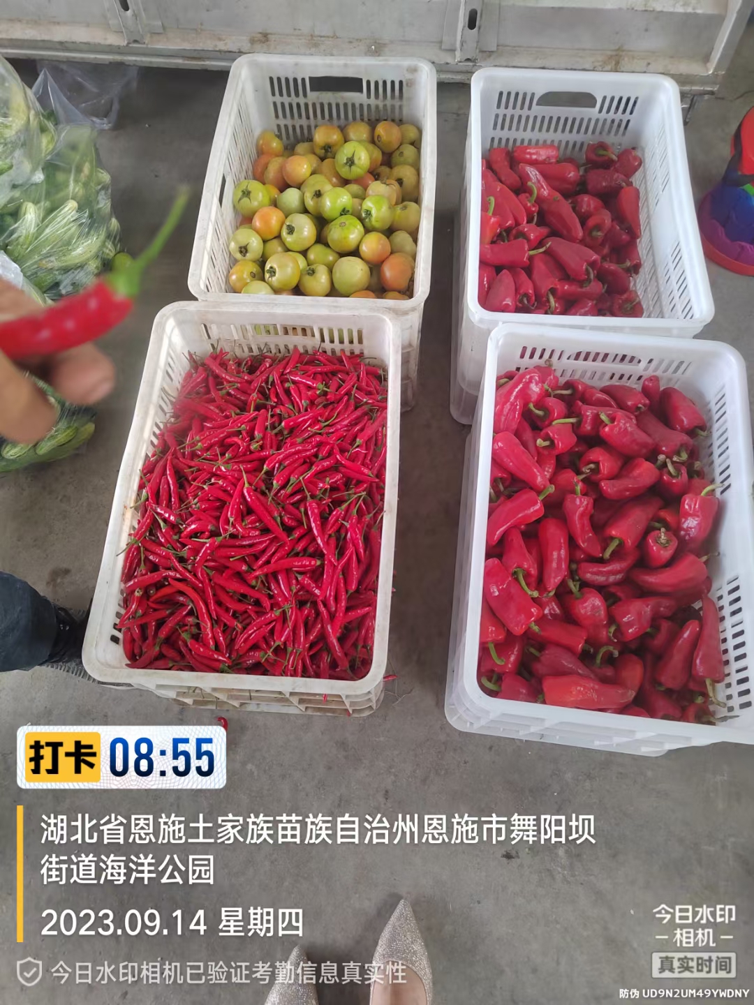 世界硒都-湖北恩施特色农产品 饱含硒元素 常吃有你想像不到的好处