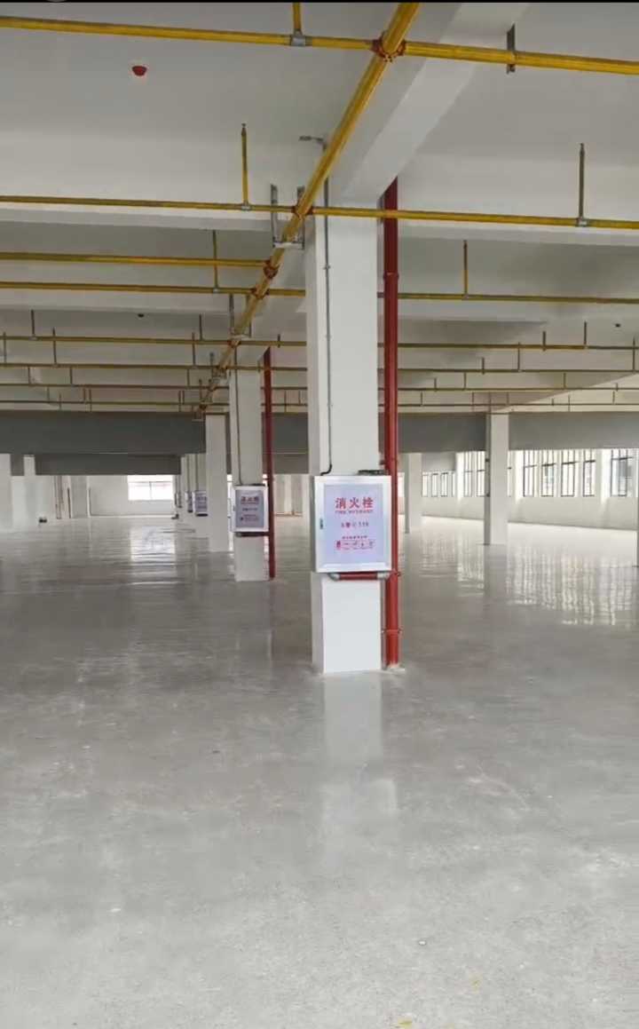 厂房出租，新河核心区，单层2300平，配套齐全，3t货梯