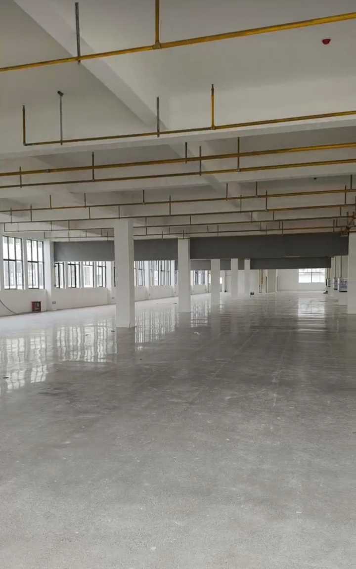 厂房出租，新河核心区，单层2300平，配套齐全，3t货梯